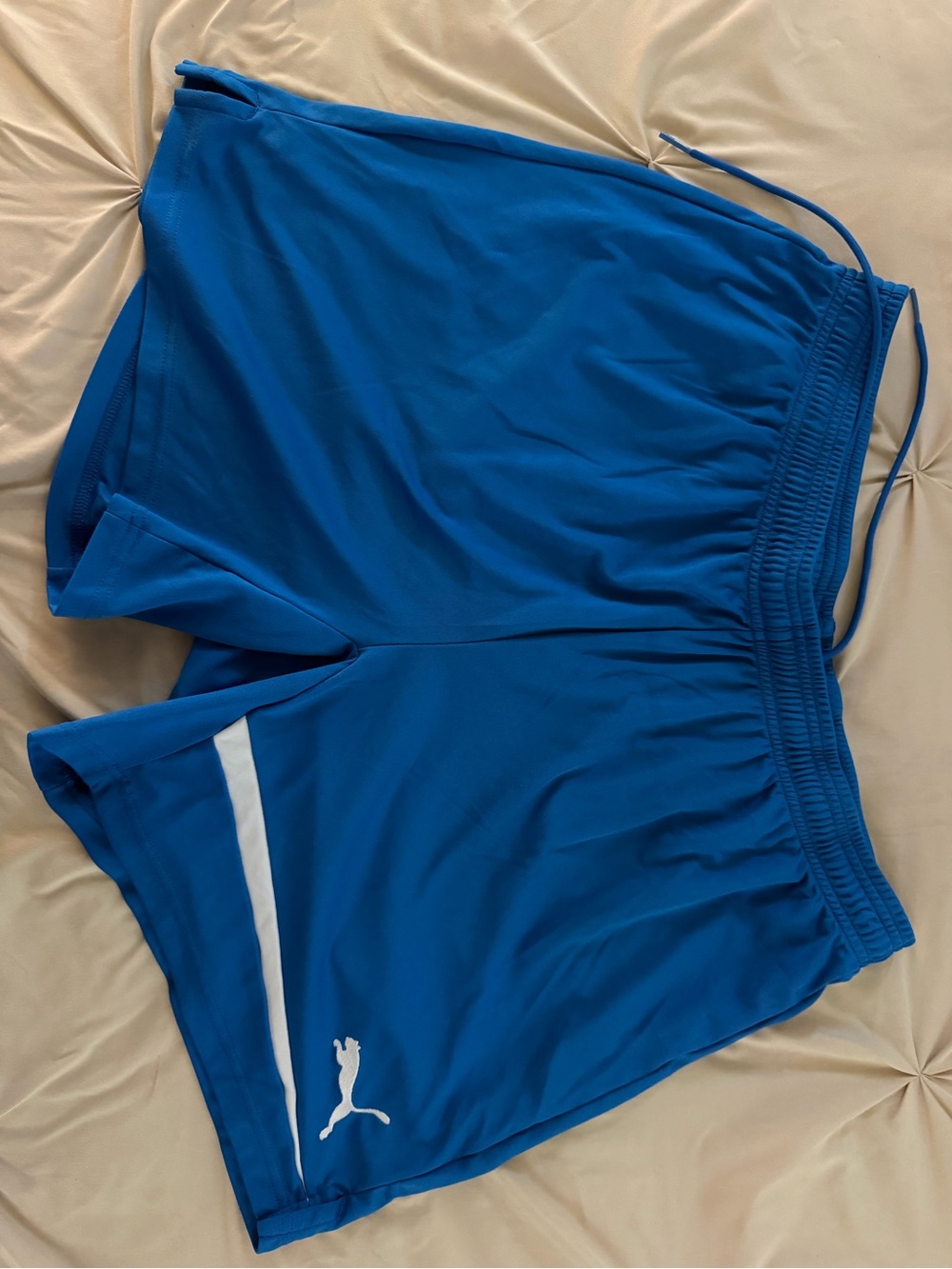 Puma Men's Blue Soccer Shorts